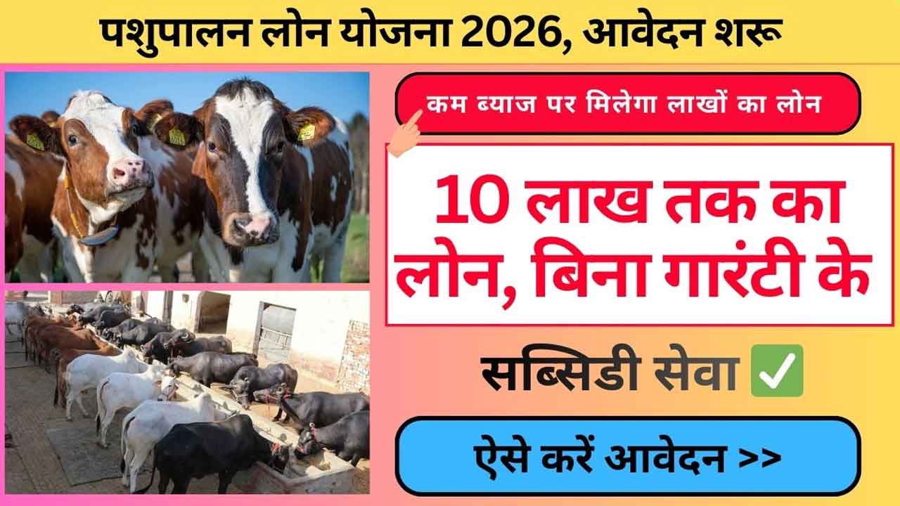 पशुपालन लोन योजना 2026: ₹10 लाख तक लोन और 35% सब्सिडी, ऐसे करें ऑनलाइन आवेदन